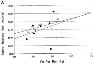 resting metabolic rate fat free mass