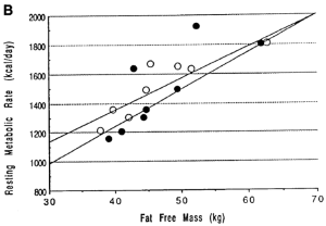 resting metabolic rate fat free mass