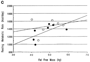 resting metabolic rate fat free mass