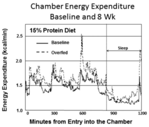 Bray & Redman 2012 2015 protein overfeeding muscle fat lean body mass calories doubly-labeled water metabolic chamber fat organs metabolism sleep