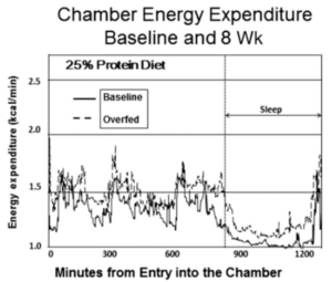 Bray & Redman 2012 2015 protein overfeeding muscle fat lean body mass calories doubly-labeled water metabolic chamber fat organs metabolism sleep