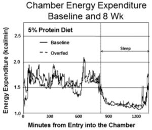 Bray & Redman 2012 2015 protein overfeeding muscle fat lean body mass calories doubly-labeled water metabolic chamber fat organs metabolism sleep