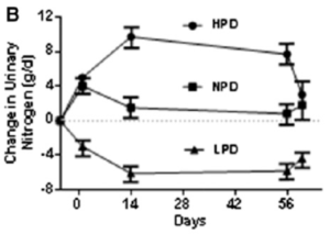Bray & Redman 2012 2015 protein overfeeding muscle fat lean body mass calories doubly-labeled water metabolic chamber fat organs metabolism nitrogen
