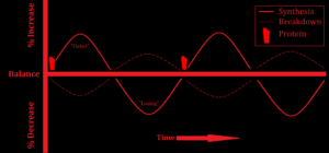 AF Graph - PRO 02