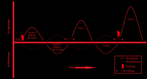 AF Graph - PRO 06